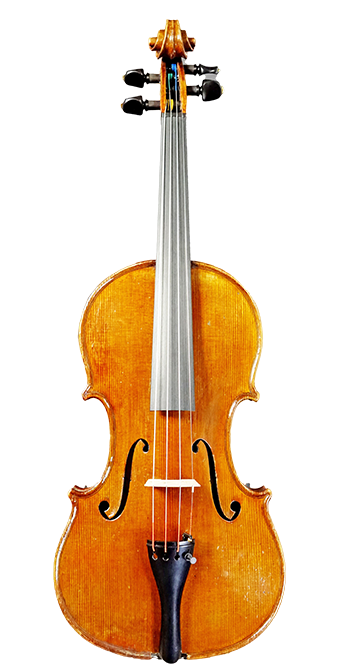 Geige | Vincenzo Sannino Neapel